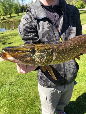 a man holding a large fish in his hands at Šeimos Namelis Adomo Sodyboje prie ežero 35 km nuo Vilniaus šalia Dubingių in Dirmeičiai