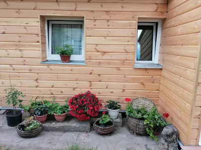 a bunch of potted plants sitting in front of a house at Jono Trobele in Druskininkai