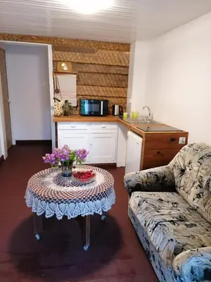 a living room with a table and a couch at Jono Trobele in Druskininkai