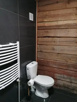 a bathroom with a toilet and a wooden wall at Jono Trobele in Druskininkai