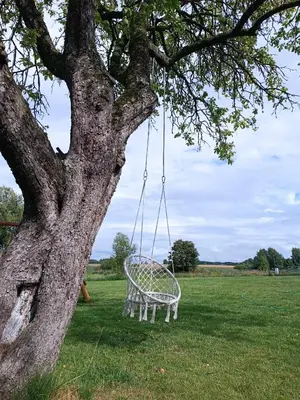 a swing hanging from a tree in a field at Arimaičių kaimo sodyba in Arimaičiai
