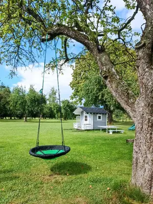 a swing hanging from a tree in a yard at Arimaičių kaimo sodyba in Arimaičiai