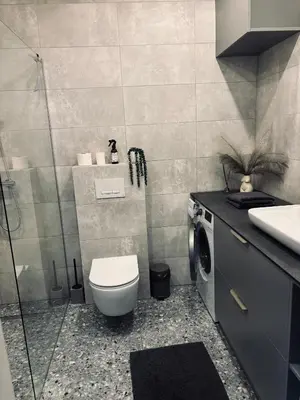 a bathroom with a toilet and a washing machine at Ainių gatvės apartamentai in Panevėžys