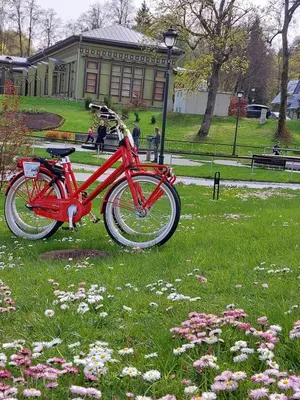 a red bike parked in a field of flowers at Carlo Apartments in Birštonas