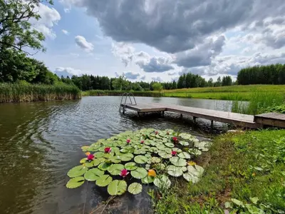 a pond with two benches and flowers in the water at Anykščiai MĖNULIO AKMUO in Kavoliškis