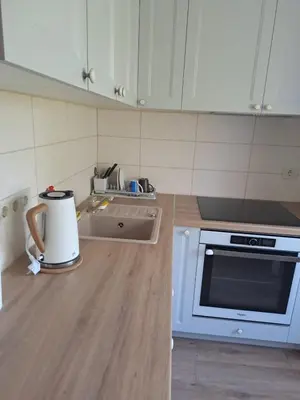 a kitchen with a sink and a counter top at ZS apartment in Druskininkai