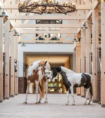 a horse and a horse standing next to each other at Royal Horse Resort in Balkasodis