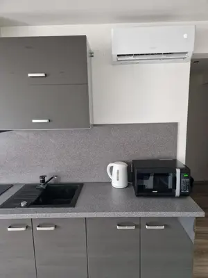 a kitchen with a sink and a microwave at VYTAUTO 3 apartment in Ukmergė