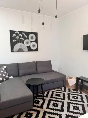 a living room with a couch and a table at Stilingi šaulio skulptūros apartamentai in Druskininkai