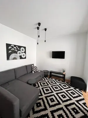 a living room with a couch and a flat screen tv at Stilingi šaulio skulptūros apartamentai in Druskininkai