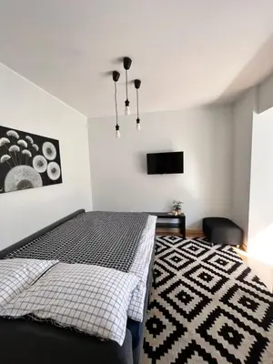 a bedroom with a bed and a flat screen tv at Stilingi šaulio skulptūros apartamentai in Druskininkai