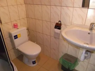 a bathroom with a toilet and a sink at Nakvynė Rokiškyje in Rokiškis
