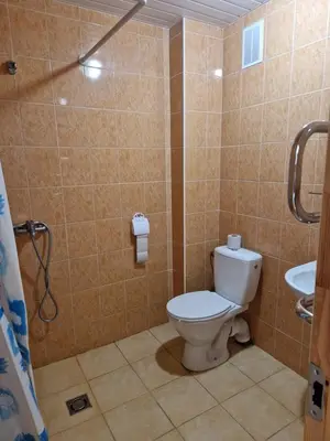 a bathroom with a toilet and a sink at Kambarių nuoma Žeimelyje in Žeimelis