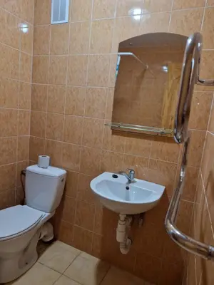 a bathroom with a toilet and a sink at Kambarių nuoma Žeimelyje in Žeimelis
