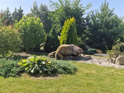 a garden with a rock and some bushes and trees at Kambarių nuoma Žeimelyje in Žeimelis