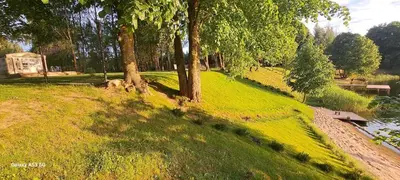 a grassy hill with trees and a body of water at Namelis po beržais in Marijampolė