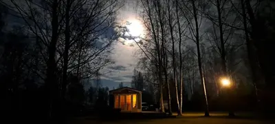 a small cabin in the middle of a forest at night at Namelis po beržais in Marijampolė