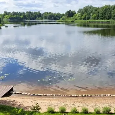 Namelis po beržais