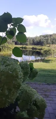 a view of a body of water with a pond at Vila Mera in Pabradė