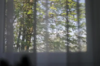 a blurry view of trees through a window at Šaulys in Druskininkai
