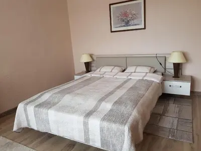 a bedroom with a large bed with two pillows at Patogus poilsis prie ežero/Comfortable rest in Visaginas