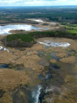 an aerial view of a field with water and trees at Poilsis Dumblio telmologiniame draustinyje in Molėtai