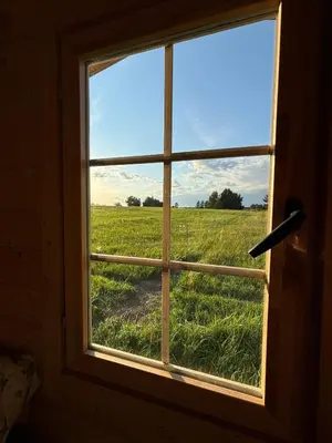 a window looking out at a field of grass at Bičių namas Bičių lova Bee house in Sargeliai