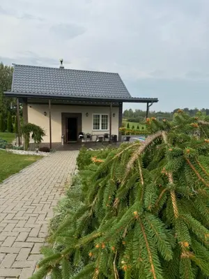 a house with a palm tree in front of it at Pirties namelis in Girininkai