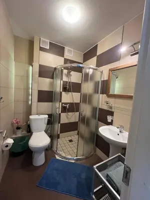 a bathroom with a shower and a toilet and a sink at Pilaites svetingi namai in Vilnius