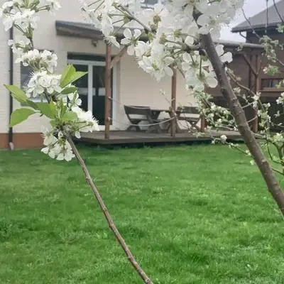 Pilaites svetingi namai