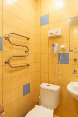 a bathroom with a toilet and a sink at Inza Guest House in Druskininkai
