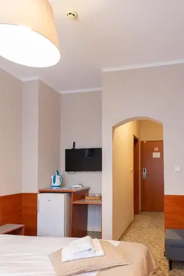 a hotel room with a bed and a television at Inza Guest House in Druskininkai