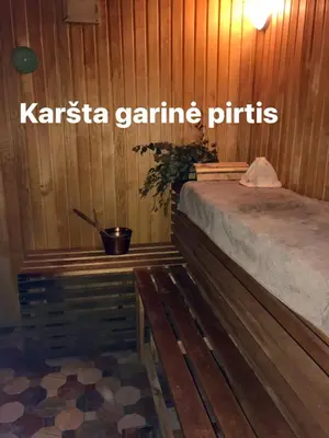a room with a wooden wall with a potted plant at Sveikatinimas kaime in Vilkaviškis