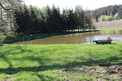 a bench sitting in the grass next to a lake at Sveikatinimas kaime in Vilkaviškis
