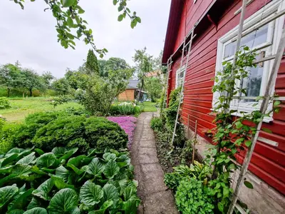 a garden next to a red house with plants at RYTO GARSAI in Merkinė
