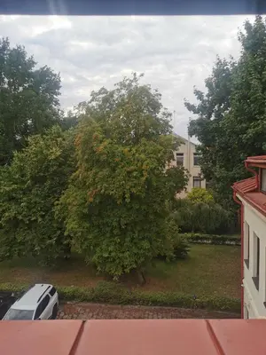 a large tree in front of a building at Charming Apartment in Kaunas Old Town with Balcony in Kaunas