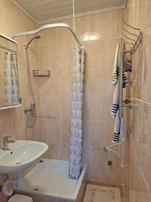 a bathroom with a sink and a shower at Vasarnamis Zarasuose - Vyšnia in Zarasai