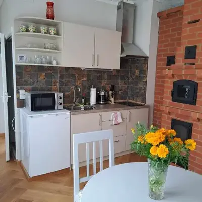 Vasarnamis Zarasuose - Vyšnia
