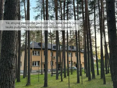 a building in the middle of a forest of trees at Palūšės Apartment in Palūšė