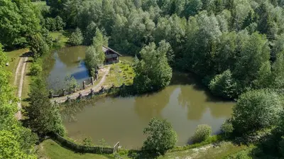 an aerial view of a lake with a house at Meškiai in Meškiai