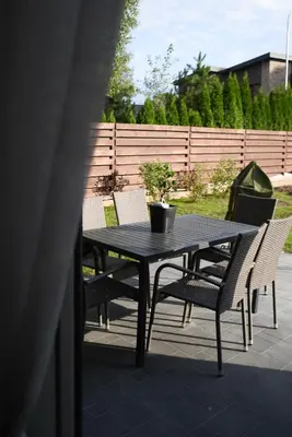 a black table and chairs with a potted plant on it at Big Mama Koala in Druskininkai