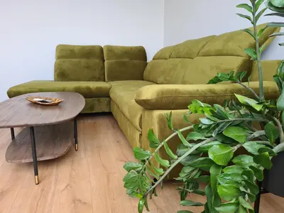 a green couch in a living room with a table at Samanų apartamentai in Šiauliai