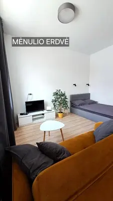 a living room with a couch and a table at Mano erdvės in Anykščiai