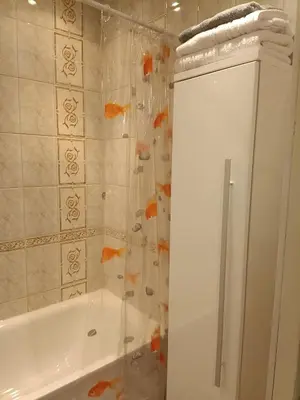 a bathroom with a shower and a bath tub at Welcome home Taikos 72V-22 in Visaginas