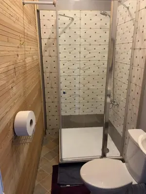 a bathroom with a shower and a toilet at Regina House in Kaunas