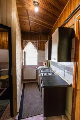 a kitchen with a stove and a counter top at Regina House in Kaunas