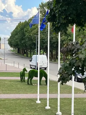 two green horses standing next to flags and a van at Naisiai in Naisiai
