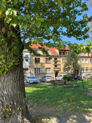 a tree in front of a building with parked cars at Spacious Old Town Apt, 3 Rooms, Sleeps 6-7 in Kaunas