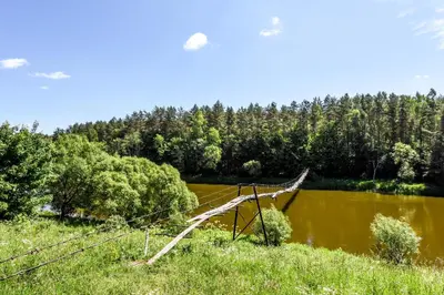 a tree branch laying on the side of a river at Neries Vila in Liucionys