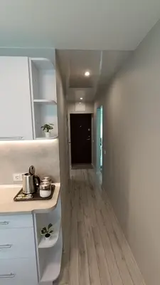 a kitchen with a counter and a hallway at MEŠKUTĖS APARTAMENTAI in Druskininkai